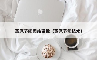 临清蒸汽节能网站建设（蒸汽节能技术）